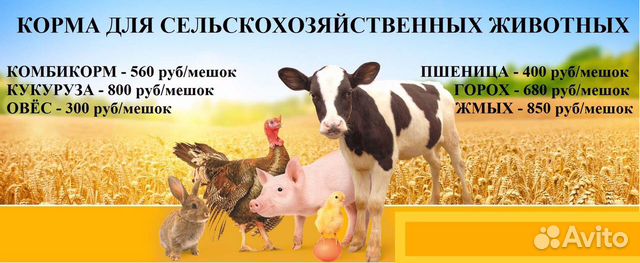 Сельскохозяйственных корма/комбикорма купить на Зозу.ру - фотография № 1