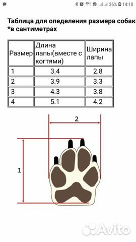 Угги для собак мелких пород