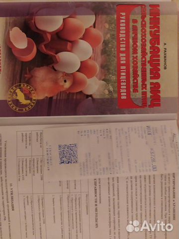 Инкубатор для яиц Несушка на 77 яиц с автоматическ купить на Зозу.ру - фотография № 4