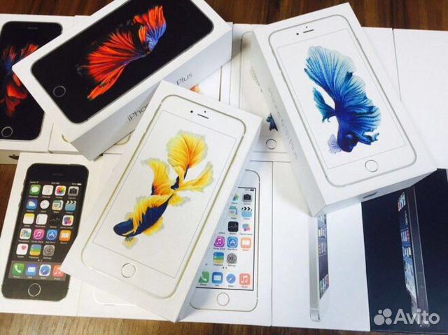 iPhone 6 iPhone 6