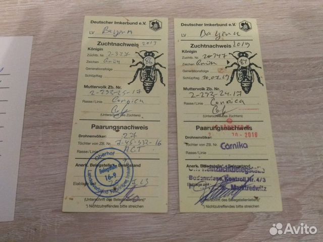 Пчеломатки Карника купить на Зозу.ру - фотография № 9