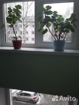 3-к квартира, 58.3 м², 4/5 эт.