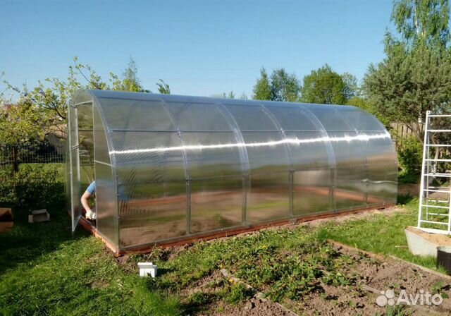 Теплица Подмосковная Теплица Подмосковная