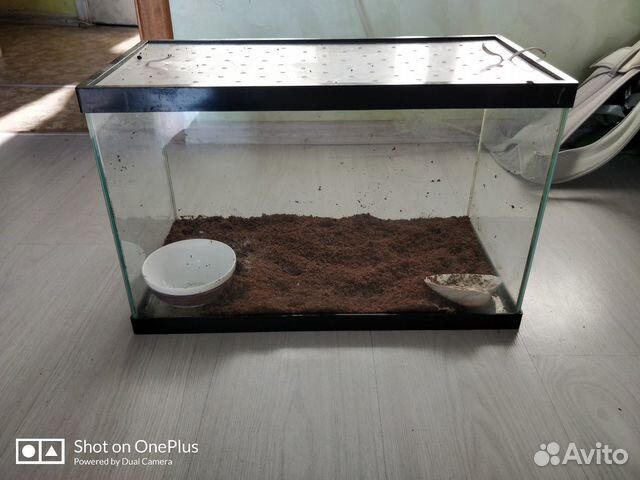 Аквариум (стекло)