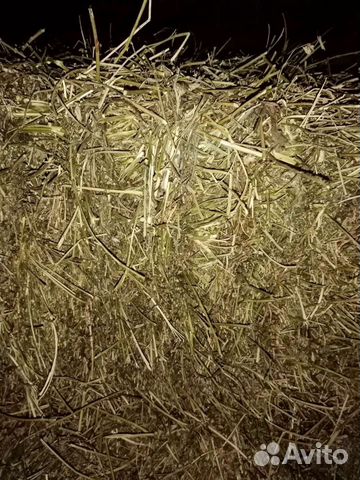 Straw