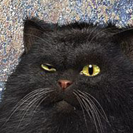 Кот бегемот ворд