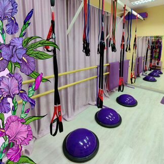 Фитнес тренировки: BodySculpt, растяжка, TRX, bosu