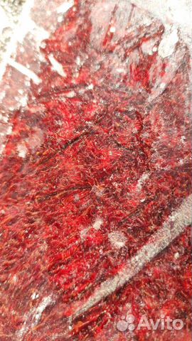 Артемия Мотыль Циклоп