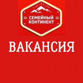 Продавец - консультант