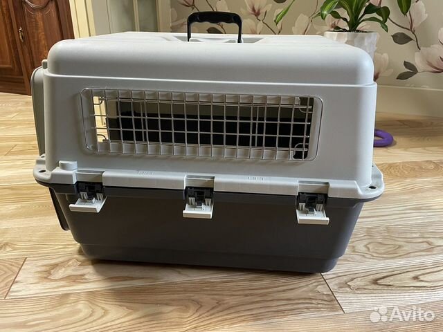 Переноска для собак - аренда
