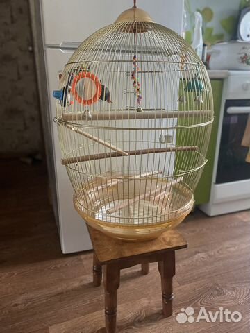 Большая клетка для птиц