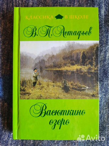 Картинка книги васюткино озеро