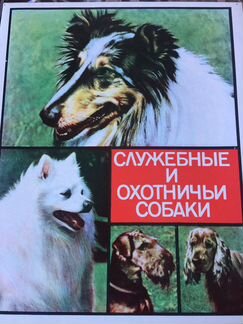 Спички коллекционные