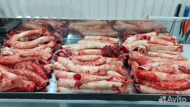 Мясо говядина для собак