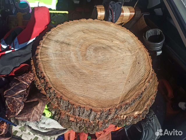 Торцевой спил дуба d50 толщина 10 полусухой
