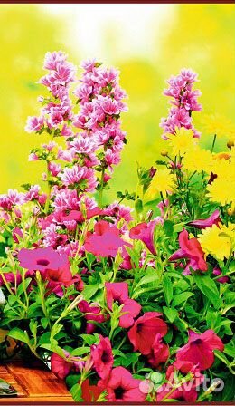 Настенный инфракрасный обогреватель Цветы