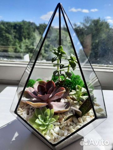 Флорариум форма 