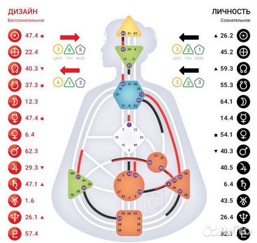 Дизайн человека консультации Human Design