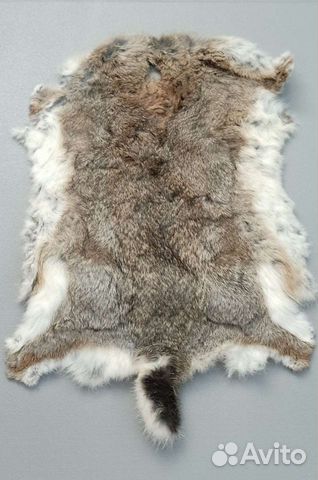 Шкурки кролика