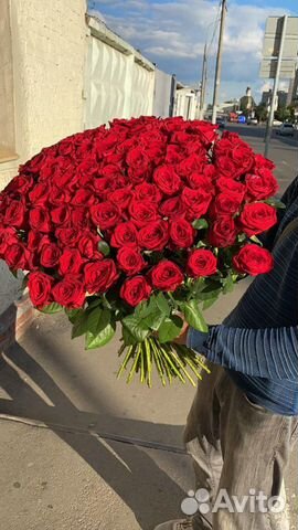 Цветы. букеты 25 51 101 201 Роза