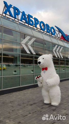 Белый медведь аниматор