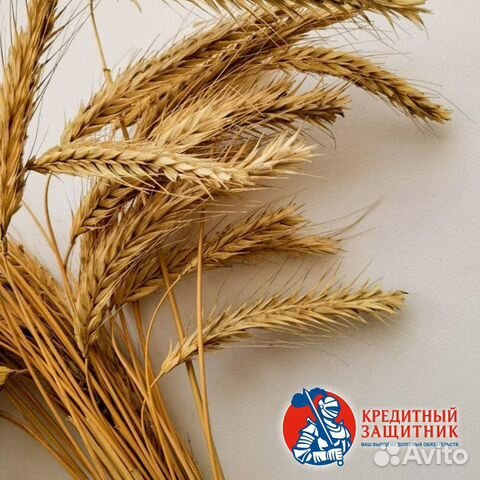 Списание долгов без банкротства