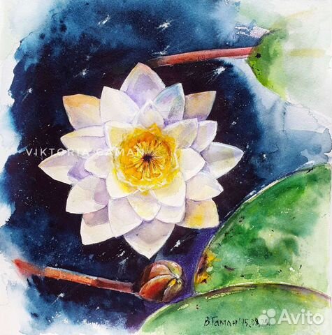 Водяная лилия. Акварельный рисунок