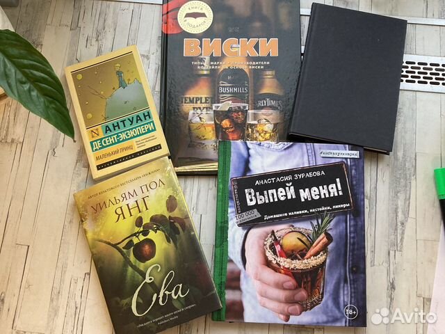 Книги Хакамада Драйзер Экзюпери Янг