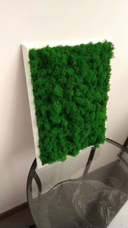 Картина из мха
