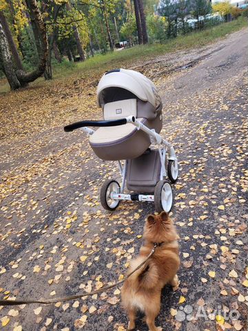 Коляска 2 в 1 adamex luciano