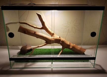 Террариумы