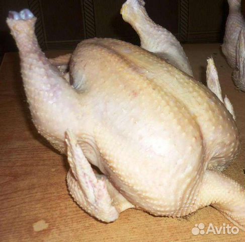 Домашний бройлер