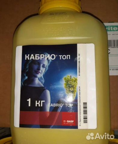 Кабрио топ BaSF-1кг- по винограду и др