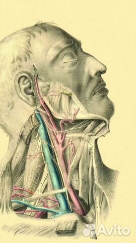 Репетитор по биохимии,фармакологии,патофизиологии