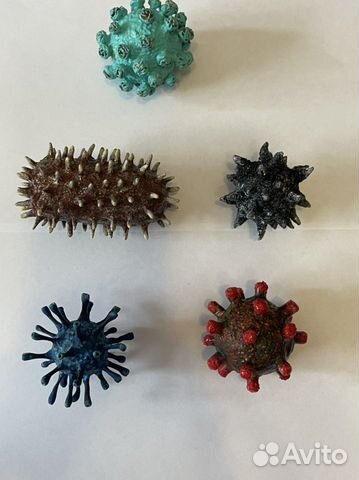 Модель вируса