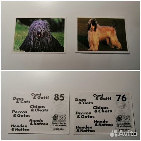 Наклейки Кошки и собаки DS 1997