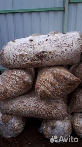 Отработанные грибные блоки