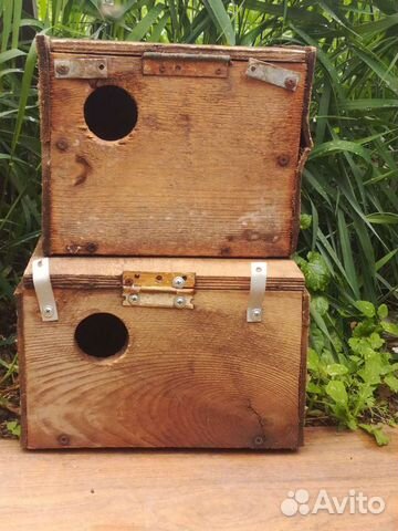 Домики для попугаев