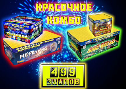 Салют 499 залпов