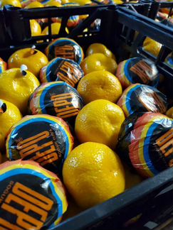 Мандарины оптом без брака