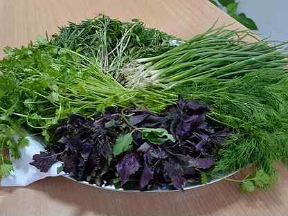 Урц армянский. Название армянской травы. Балба армянская трава. Армянские травы для еды названия и фото. Армянские травы для еды.