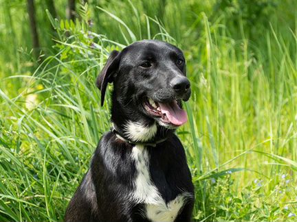 Юная обольстительница мечтает о своем доме