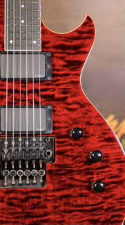 ESP eclipse USA Custom