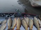 Отдых, рыбалка и охота в Астрахани объявление продам