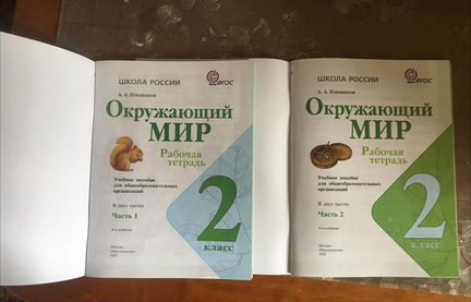Рабочая тетрадь 2 класс Плешаков.А.А