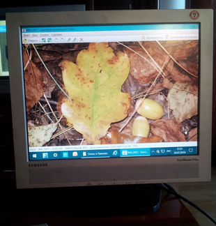 Монитор samsung SyncMaster 510M б/у