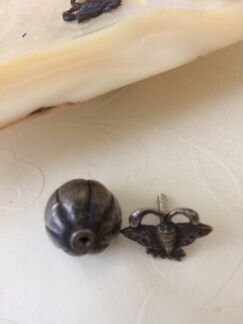 Перламутровые раковины