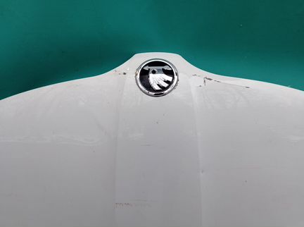 Капот Skoda Rapid арт 02122