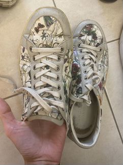 Кеды gucci оригинал