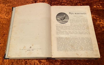 Книга Ч. Корниш 